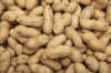 PEANUT KERNELS/BLANCHED PEANUTS ROASTED PEANUTS PUMPKIN SEEDS FRYING MACHINE FACTORY
