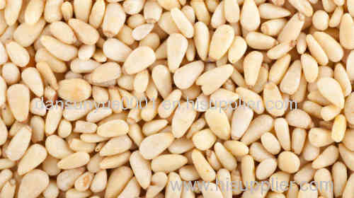 health food pine nut exporter