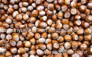 Processed and Unprocessed Hazelnut