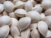 Ginkgo Nuts Best Quality Ginkgo Nuts Grade A Ginkgo Nuts