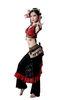 Handmade Soft lace belly dance apparel , sexiest belly dancing costumes