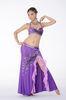 Performance beautiful belly dance costumes bra top and skirt