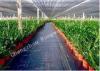 Landscape / Garden Weed Control Membrane / Fabric Ground Cover Lining Mat for Greenhouse