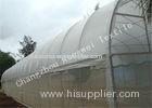 Agricultural Plastic Anti Insect Netting / Insect-proof Mesh Plant Covers Transparent or Custom