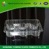 Clear Disposable Food Trays Packaging PET Cake Tray