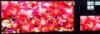 Indoor SMD LED Display Panels , LED Video Display 500x500mm Size