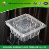 Clear Disposable Food Clamshell Packaging 48 oz High-transparently