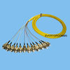 Bunch fiber optic pigtail(FC 12core)