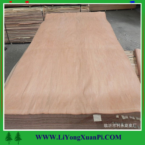 4x8 natural mahogany wood veneer