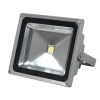 50W LED Flood Light