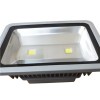 100W LED Flood Light