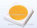White Outdoor Commercial 3000-3300K 1w 90-155Lm SMD 3030 LED With 120 Viewing Angle