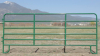 powder coated portable horse fencing panel for farm