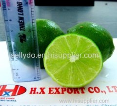 seedless lime/lemon Origin Viet Nam