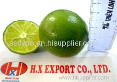 lime with seed origin Viet Nam