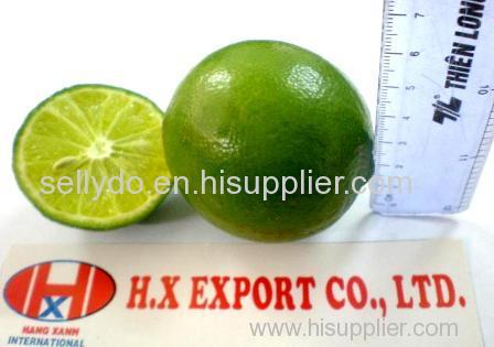 lime with seed origin Viet Nam