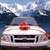 15 large size wedding Pom Pom bow in thick PP or PET materials for decoration on a car
