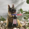 Shepherd Dog Solar Garden Light