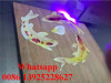 UV LED printer for PVC / WOOD/ UV LED printer /3D wood uv printer with cheap price