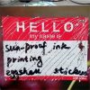 Custom Out Door Use Sun-Proof Ink Printed Hello My Name Is Egg Shell Sticker