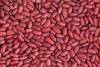 Red Skin Peanuts //////////////////