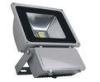 Waterproof Outdoor Led Flood Light IP65 For Shopping Mall