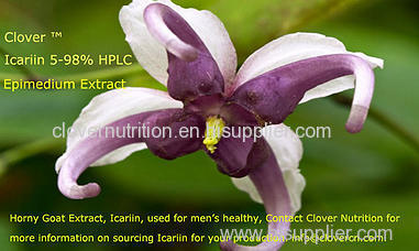 Icariin/Horny Goat Weed extract/Epimedium Extract/Yin Yang Huo Extract/Clover Nutrition