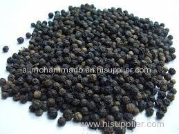 Black Pepper Black Pepper Black Pepper Black Pepper