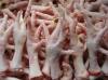 frozen chicken feet frozen chicken feet frozen chicken feet frozen chicken feet