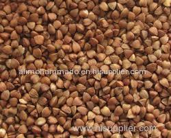 roasted buckwheat kernel roasted buckwheat kernel roasted buckwheat kernel