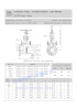 SERIES HSN ASTM GATE VALVE(RISING STEM)