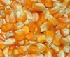 YELLOW MAIZE FOR POULTRY FEED YELLOW MAIZE FOR POULTRY FEED
