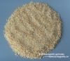 Garlic Granules Garlic Granule