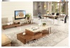 modern living room furniture/TV stand/coffee table #CJ-9552