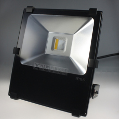 10W 20W 30W 50W 100W RGBW LED Flood Lights