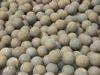 Cr15 Mining Forged Steel Balls Grinding Media With More Than HRC60 Hardness