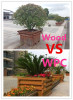Durable wood composite temite proof anti-UV corrosion-resistant Flower box pot