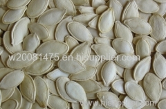 best pumpkin seeds shine skin and snow white pumpkin seeds kernels