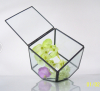 Wholesale Geometric Glass Terrarium For Home Decoration