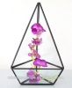 air plant succulent small house shape geometric glass vase
