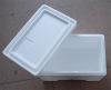 eps foam insulation ice fish box mould and vegetable box mold for sale with low price