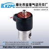 Stainless Steel 24v dc 2 way solenoid valve