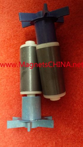 Ferrite Pump Rotor Magnet