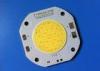 250 W Epistar Chip Full Spectrum White Led Diode With High CRI 95Ra