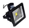 Warm White 50W Led Flood Light Led Tennis Court Flood Lights Industrial Outdoor