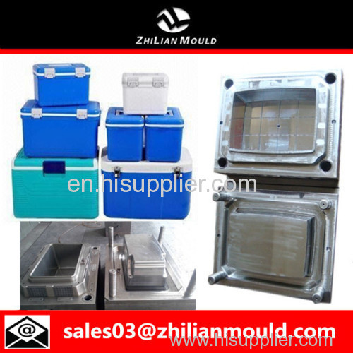 custom OEM plastic cooler box mould with high precision in China