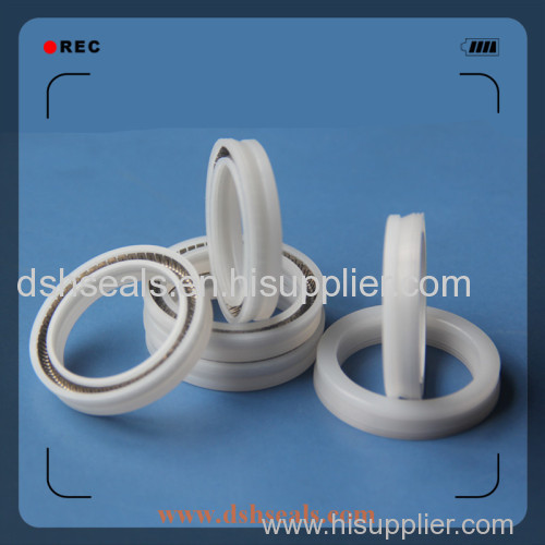 Virgin PTFE spring energized seals for rod