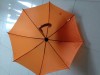 Metal shaft auto open plastic handle straight umbrella