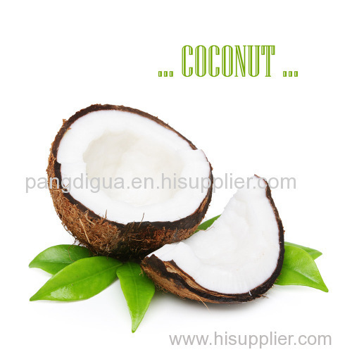 100% Natural Coconut Powder/ Instant Coconut Juice Powder/ Spray Dried Coconut Powder