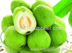 100% Natural Guava Powder/ Instant Guava Juice Powder/ Spray Dried Guava Powder